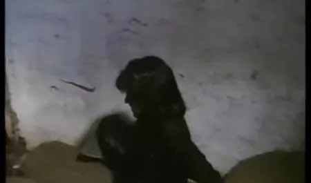 Süße kostenlose deutsche pornofilme brasilianische Teenager Sperma
