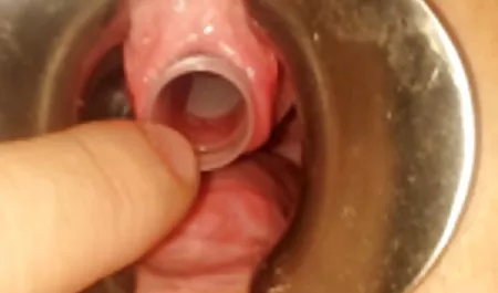 Irmas blau kostenlose perverse pornos