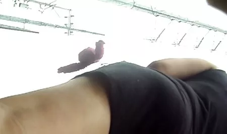 Bibi Miami Demütigung kostenlose sexfilme in deutscher sprache Sex