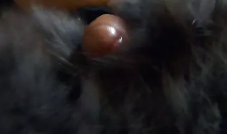 Japanisches Mädchen mit riesigen Titten ficken kostenlose pornos anal